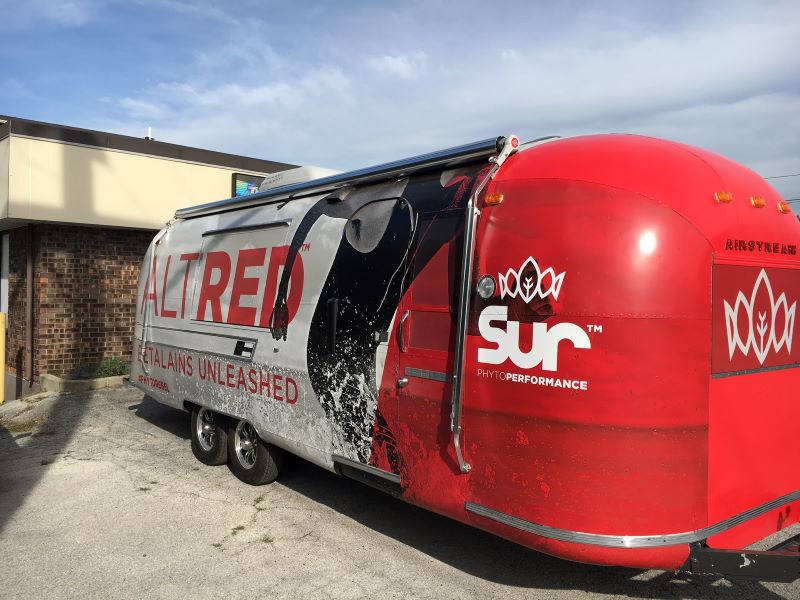 Vehicle Graphics